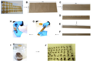 https://www.journalssystem.com/agb/f/fulltexts/159810/7306cd08-4ea7-449e-bf32-891691a6e5c0-ufigure-1_min.jpg