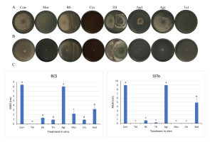 https://www.journalssystem.com/agb/f/fulltexts/159812/Figure_2_min.jpg