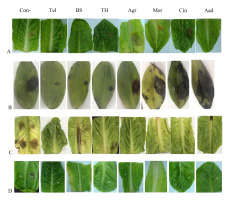 https://www.journalssystem.com/agb/f/fulltexts/159812/Figure_4_min.jpg