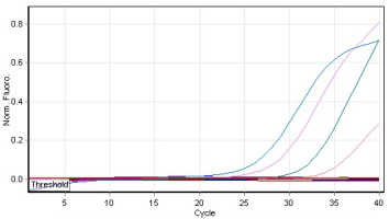 https://www.journalssystem.com/agb/f/fulltexts/159812/Figure_5_min.jpg