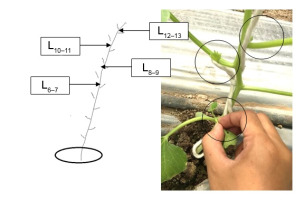 https://www.journalssystem.com/agb/f/fulltexts/159817/Figure_2_min.jpg
