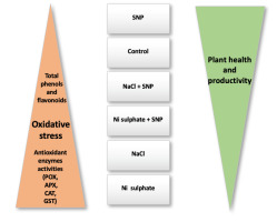 https://www.journalssystem.com/agb/f/fulltexts/159823/Figure_3_min.jpg