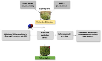 https://www.journalssystem.com/agb/f/fulltexts/159823/Figure_4_min.jpg