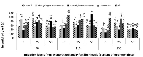 https://www.journalssystem.com/agb/f/fulltexts/159835/Figure_12_min.jpg