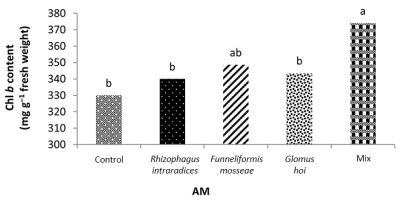 https://www.journalssystem.com/agb/f/fulltexts/159835/Figure_5_min.jpg