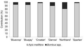 https://www.journalssystem.com/agb/f/fulltexts/159846/Figure_4_min.jpg