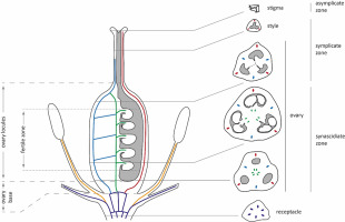 https://www.journalssystem.com/agb/f/fulltexts/159849/Figure_1_min.jpg