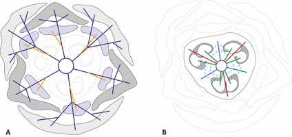 https://www.journalssystem.com/agb/f/fulltexts/159849/Figure_4_min.jpg