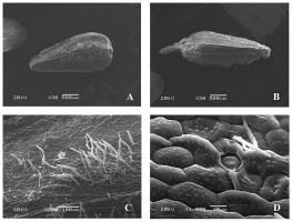 https://www.journalssystem.com/agb/f/fulltexts/159850/Figure_10_min.jpg