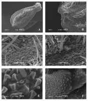 https://www.journalssystem.com/agb/f/fulltexts/159850/Figure_1_min.jpg