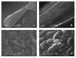 https://www.journalssystem.com/agb/f/fulltexts/159850/Figure_2_min.jpg