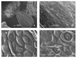 https://www.journalssystem.com/agb/f/fulltexts/159850/Figure_3_min.jpg