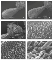 https://www.journalssystem.com/agb/f/fulltexts/159850/Figure_4_min.jpg