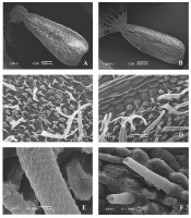 https://www.journalssystem.com/agb/f/fulltexts/159850/Figure_5_min.jpg