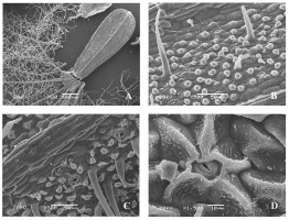 https://www.journalssystem.com/agb/f/fulltexts/159850/Figure_6_min.jpg