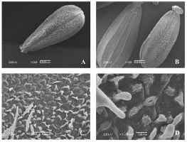 https://www.journalssystem.com/agb/f/fulltexts/159850/Figure_7_min.jpg