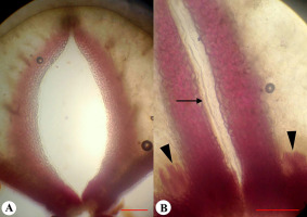 https://www.journalssystem.com/agb/f/fulltexts/159852/Figure_4_min.jpg