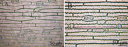 https://www.journalssystem.com/agb/f/fulltexts/159853/Figure_1_min.jpg