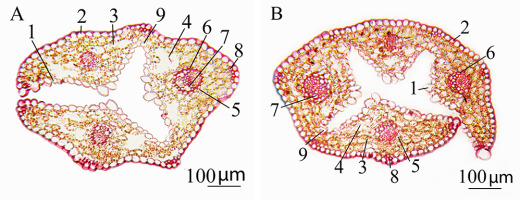 https://www.journalssystem.com/agb/f/fulltexts/159853/Figure_2_min.jpg