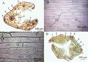 https://www.journalssystem.com/agb/f/fulltexts/159853/Figure_4_min.jpg