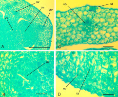 https://www.journalssystem.com/agb/f/fulltexts/159854/Figure_10_min.jpg