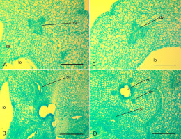 https://www.journalssystem.com/agb/f/fulltexts/159854/Figure_6_min.jpg