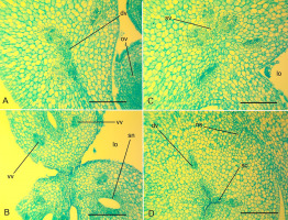 https://www.journalssystem.com/agb/f/fulltexts/159854/Figure_8_min.jpg