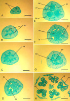 https://www.journalssystem.com/agb/f/fulltexts/159854/Figure_9_min.jpg