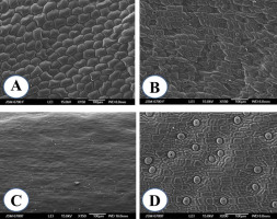 https://www.journalssystem.com/agb/f/fulltexts/159856/Figure_4_min.jpg