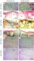 https://www.journalssystem.com/agb/f/fulltexts/159857/Figure_1_min.jpg