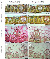 https://www.journalssystem.com/agb/f/fulltexts/159857/Figure_2_min.jpg