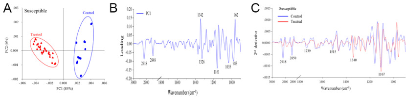 https://www.journalssystem.com/agb/f/fulltexts/159858/Figure_2_min.jpg