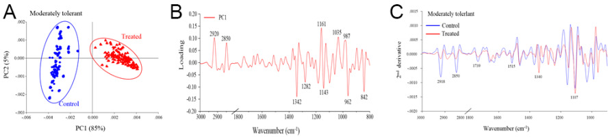 https://www.journalssystem.com/agb/f/fulltexts/159858/Figure_3_min.jpg