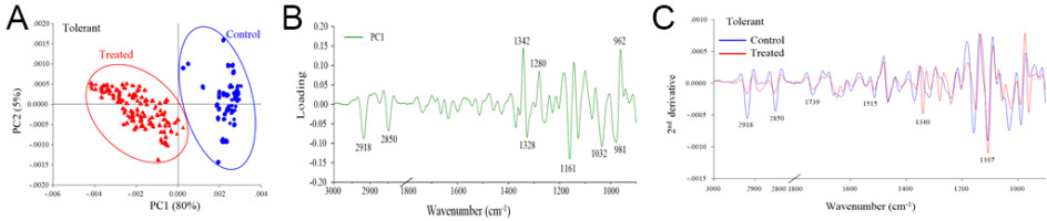 https://www.journalssystem.com/agb/f/fulltexts/159858/Figure_4_min.jpg