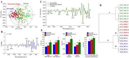 https://www.journalssystem.com/agb/f/fulltexts/159858/Figure_5_min.jpg