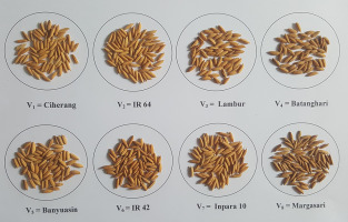 https://www.journalssystem.com/agb/f/fulltexts/159860/Figure_5_min.jpg