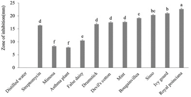 https://www.journalssystem.com/agb/f/fulltexts/159865/Figure_2_min.jpg