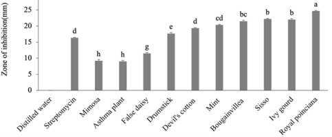 https://www.journalssystem.com/agb/f/fulltexts/159865/Figure_4_min.jpg