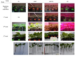 https://www.journalssystem.com/agb/f/fulltexts/162570/Figure_3_min.jpg