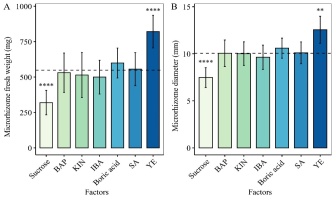 https://www.journalssystem.com/agb/f/fulltexts/162584/Figure_3_min.jpg