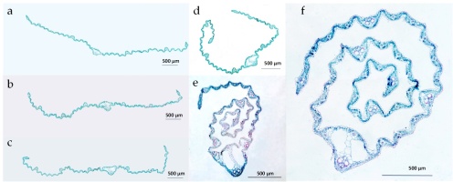 https://www.journalssystem.com/agb/f/fulltexts/162713/Figure_1_min.jpg