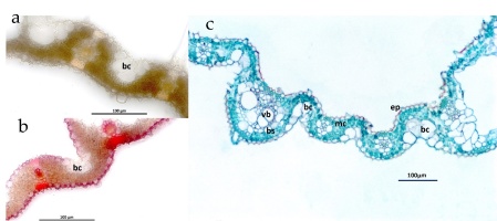 https://www.journalssystem.com/agb/f/fulltexts/162713/Figure_3_min.jpg