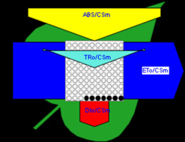 https://www.journalssystem.com/agb/f/fulltexts/165823/Figure_6a_min.jpg