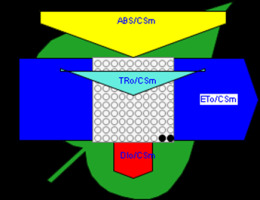 https://www.journalssystem.com/agb/f/fulltexts/165823/Figure_6b_min.jpg