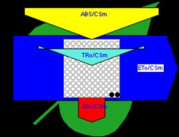 https://www.journalssystem.com/agb/f/fulltexts/165823/Figure_6c_min.jpg