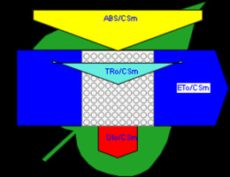 https://www.journalssystem.com/agb/f/fulltexts/165823/Figure_6d_min.jpg