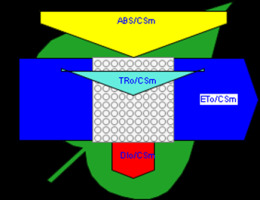 https://www.journalssystem.com/agb/f/fulltexts/165823/Figure_6e_min.jpg