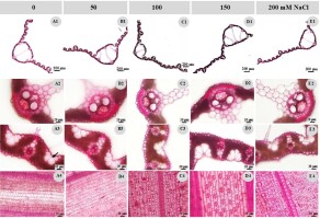 https://www.journalssystem.com/agb/f/fulltexts/165824/Figure_2_min.jpg