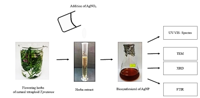 https://www.journalssystem.com/agb/f/fulltexts/166425/Figure_1_min.jpg