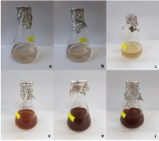 https://www.journalssystem.com/agb/f/fulltexts/166425/Figure_2_min.jpg